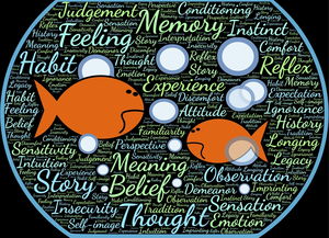 MILANSPORT下载-校园体育活动参与度与学生学业表现关联，学生参与学校体育的价值