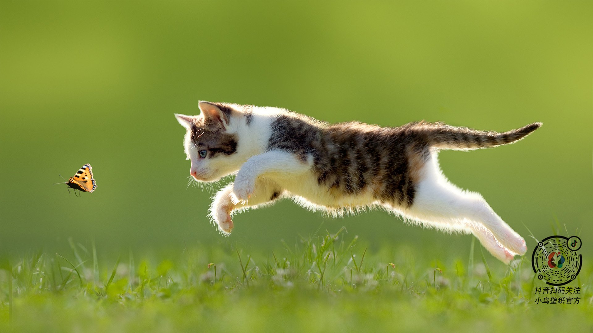 MILANSPORT下载-西甲裁判语义分析提升判罚一致性研究，意甲裁判服