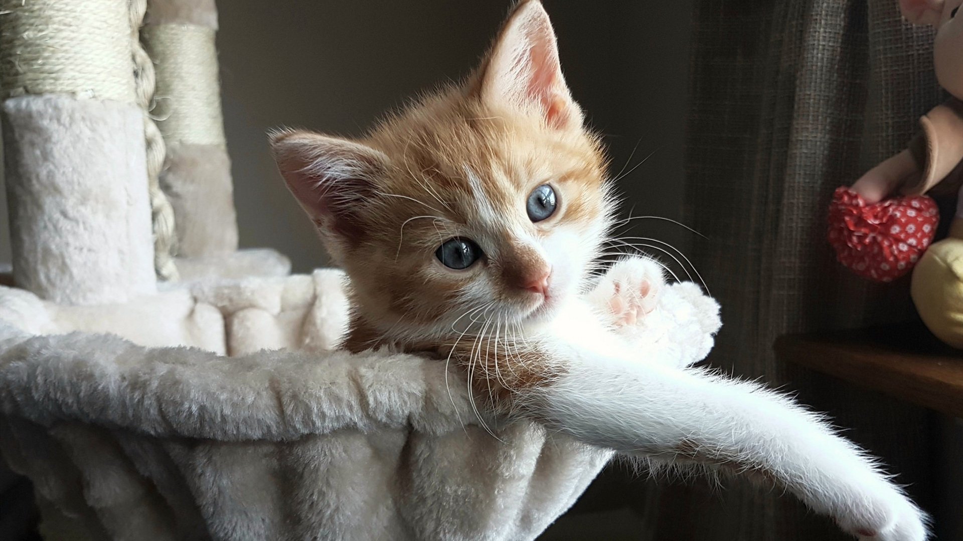 MILANSPORT下载-场馆设施智能化改造全面展开，场馆智能化管理系统方案