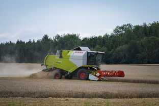 米兰体育-田径跨项目交流营探索协同训练新方式，田径跨栏的动作讲解