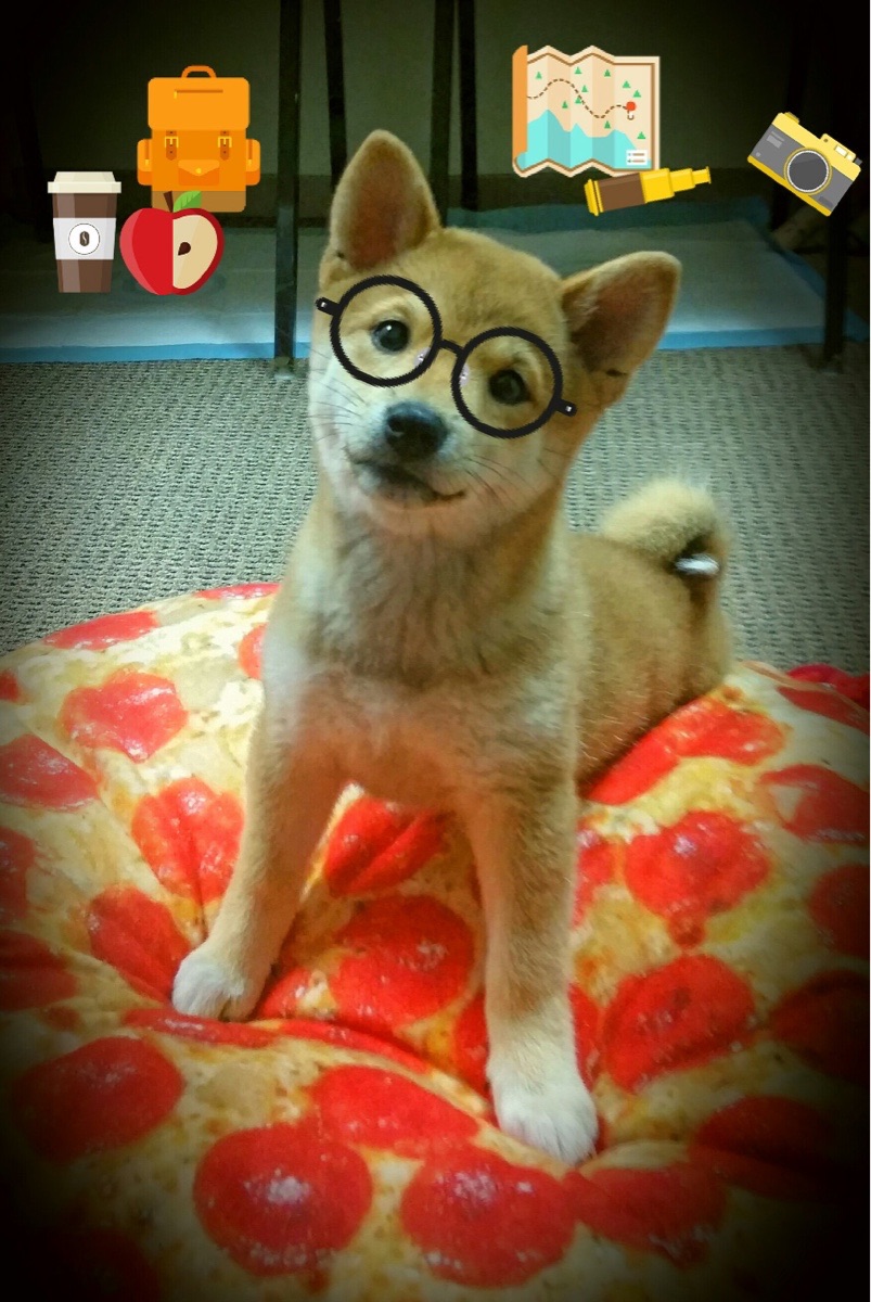 -都灵后防纪律性提升保障零封