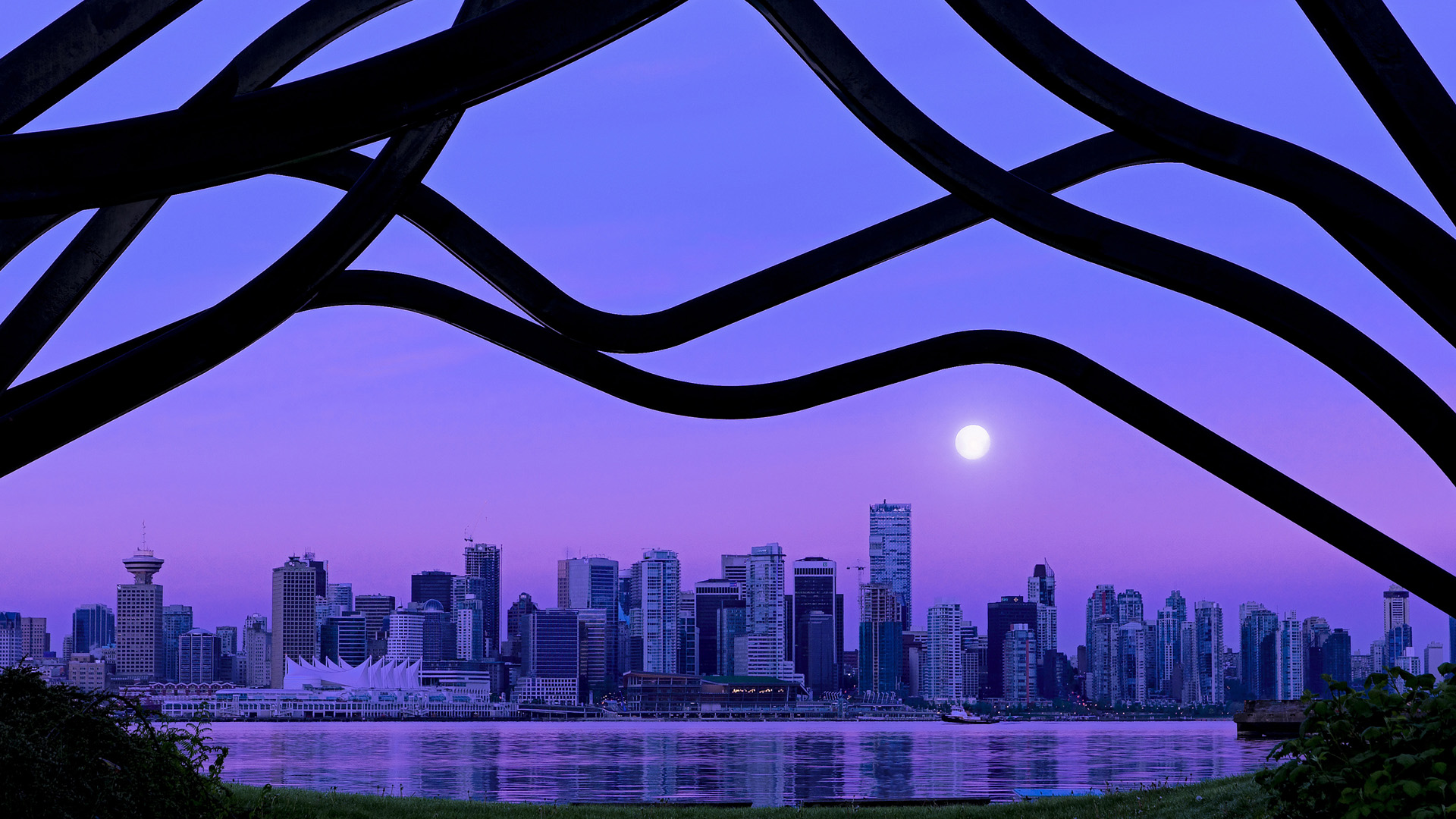 AC米兰-“诺克·达维德·彼得森：南非橄榄球新一代领军人物”