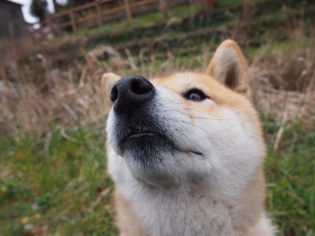 米兰体育官网-中国足球俱乐部推进城市足球地图项目，全国足球城市排名