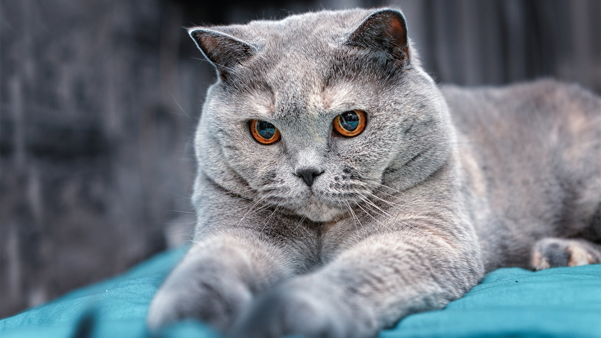 米兰登录入口-中国足球青训教练员能力提升计划全面启动，足球青训教练平均工资水平