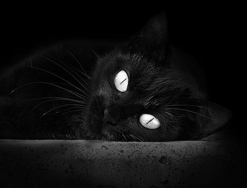 -冲刺阶段划频节奏显著加快，冲刺的节奏