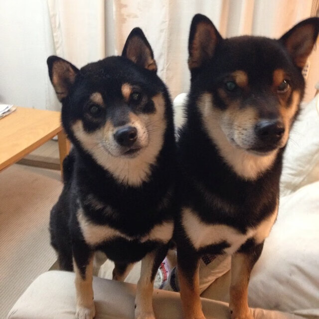 米兰体育-奥卡拉汉赛后感谢团队支持，奥卡拉汉赛后感谢团队支持的话