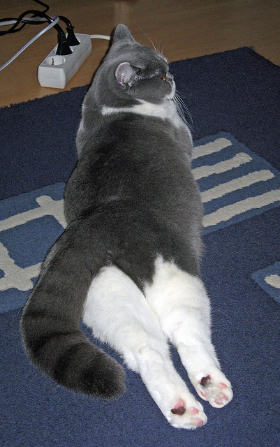 米兰体育APP-女子足球发展计划注重基础设施完善优化训练条件，女子足球训练基地