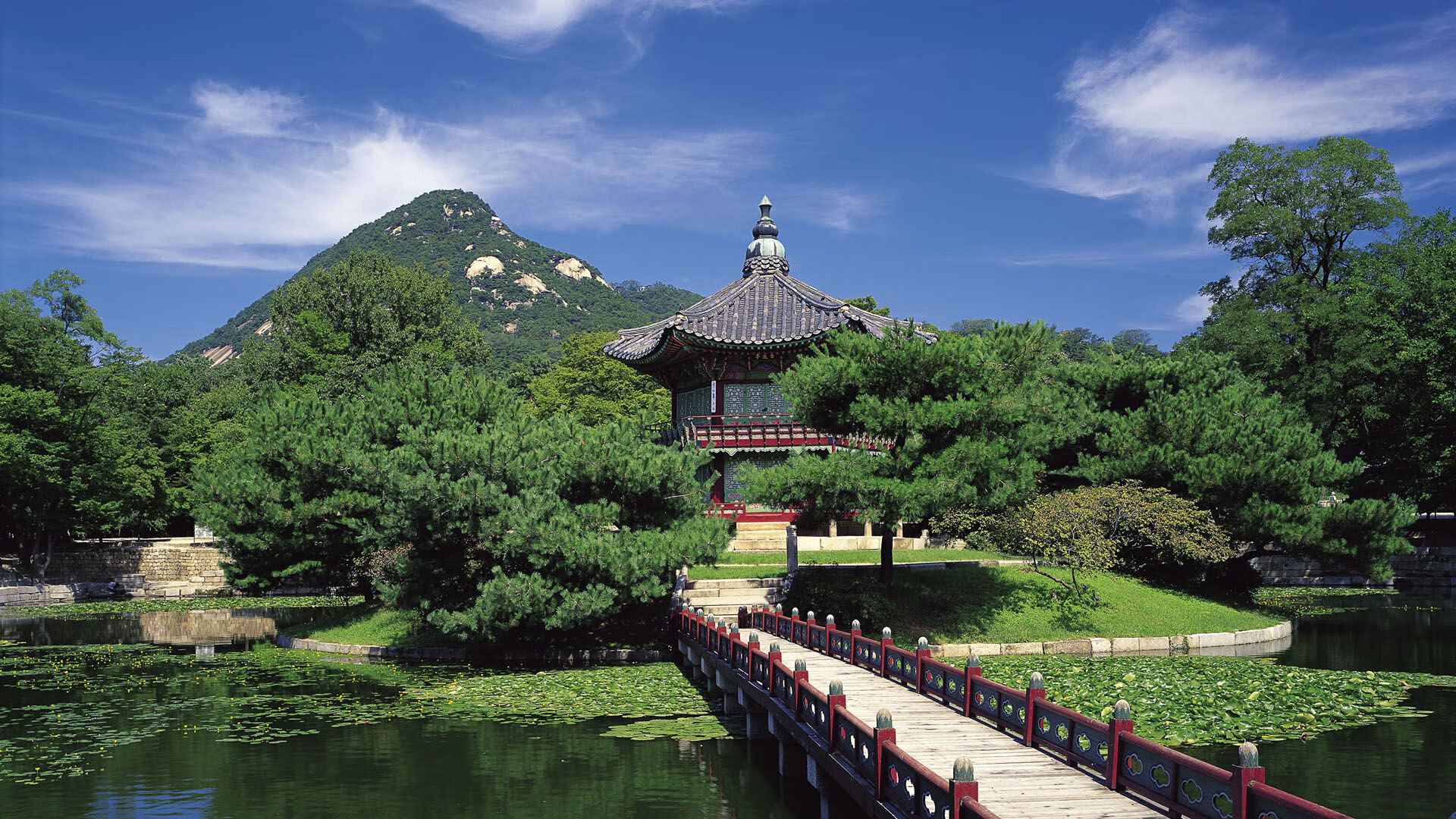 米兰体育-普费夫10米跳台决赛技术完美无瑕