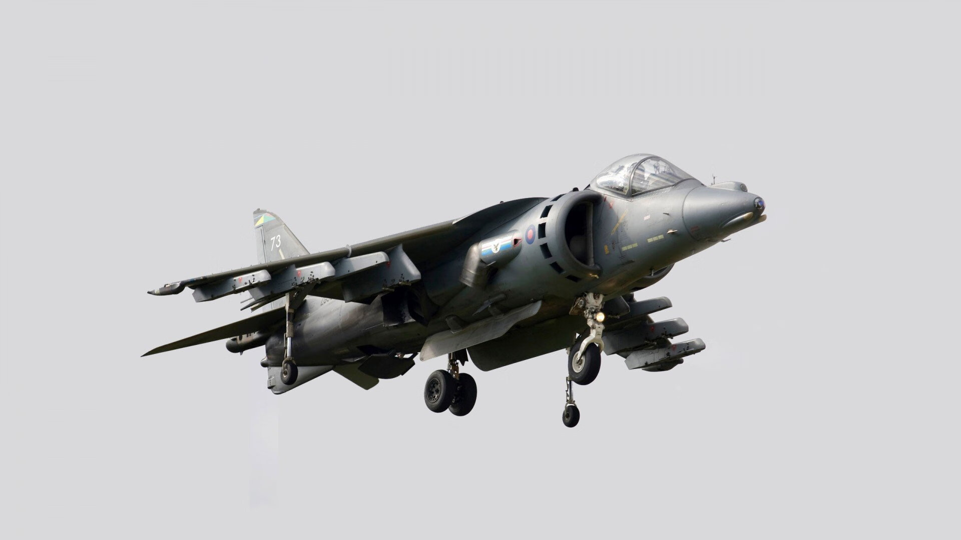 -美洲杯明星走向辉煌：豪华阵容引爆现场！，美洲杯巨星