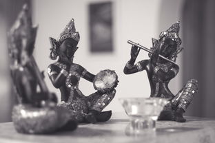 MILANSPORT下载-Wagner 团队精神领袖备受敬佩，团队中的精神领袖