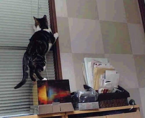 米兰体育官网-与马龙、樊振东、王楚钦交锋，方博感叹队内竞争激烈，王楚钦和樊振东交手记录