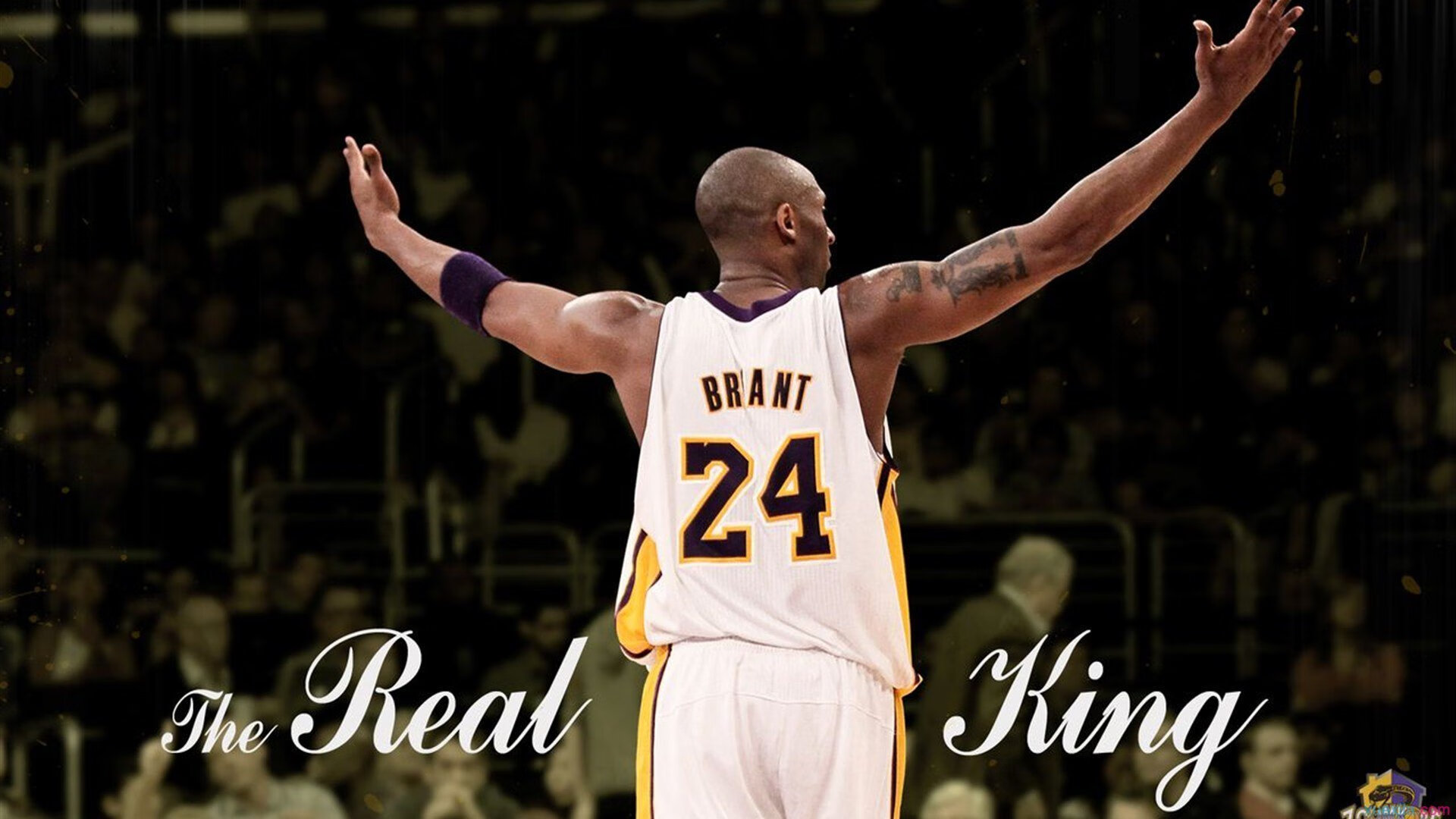 钻石联赛总决赛 男子标枪世界纪录被刷新